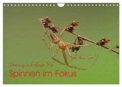 Cover Spinnen im Fokus (Wandkalender 2026 DIN A4 quer), CALVENDO Monatskalender