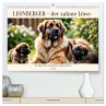 Leonberger - der zahme Löwe... - Bild 1