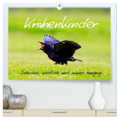 Krähenkinder - Schwarz, niedlich und immer hungrig (hochwertiger Premium Wandkalender 2026 DIN A2 quer), Kunstdruck in Hochglanz Krähenkinder - Schwarz, niedlich und immer hungrig (hochwertiger Premium Wandkalender 2026 DIN A2 quer), Kunstdruck in Hochglanz