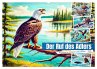 Der Ruf des Adlers - Majestätischer... - Bild 1