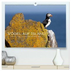 Vögel auf Island (hochwertiger Premium Wandkalender 2026 DIN A2 quer), Kunstdruck in Hochglanz Vögel auf Island (hochwertiger Premium Wandkalender 2026 DIN A2 quer), Kunstdruck in Hochglanz