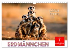 Cover Erdmännchen - coole Typen (Wandkalender 2026 DIN A4 quer), CALVENDO Monatskalender