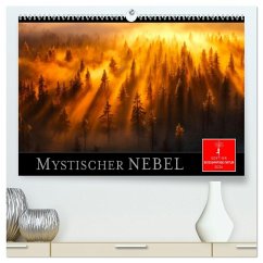 Cover Mystischer Nebel (hochwertiger Premium Wandkalender 2026 DIN A2 quer), Kunstdruck in Hochglanz