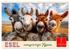 Cover Esel - neugierige Typen (Wandkalender 2026 DIN A3 quer), CALVENDO Monatskalender