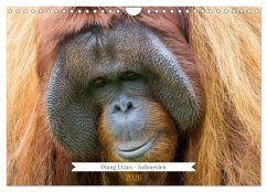 Cover Orang Utans - Indonesien (Wandkalender 2026 DIN A4 quer), CALVENDO Monatskalender