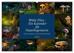 Wilde Pilze: Ein Kalender für Naturbegeisterte (Wandkalender 2026 DIN A2 quer), CALVENDO Monatskalender