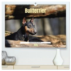 Cover Bullterrier, liebenswerte Sturköpfe (hochwertiger Premium Wandkalender 2026 DIN A2 quer), Kunstdruck in Hochglanz