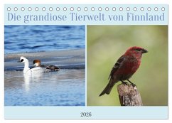 Die grandiose Tierwelt von Finnland (Tischkalender 2026 DIN A5 quer), CALVENDO Monatskalender Die grandiose Tierwelt von Finnland (Tischkalender 2026 DIN A5 quer), CALVENDO Monatskalender