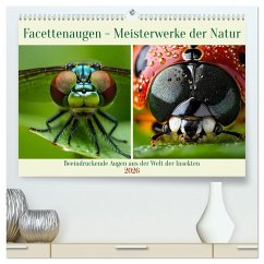 Facettenaugen - Meisterwerke der Natur (hochwertiger Premium Wandkalender 2026 DIN A2 quer), Kunstdruck in Hochglanz