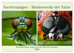 Cover Facettenaugen - Meisterwerke der Natur (Wandkalender 2026 DIN A3 quer), CALVENDO Monatskalender