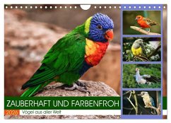 Cover Zauberhaft und farbenfroh (Wandkalender 2026 DIN A4 quer), CALVENDO Monatskalender