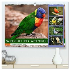 Cover Zauberhaft und farbenfroh (hochwertiger Premium Wandkalender 2026 DIN A2 quer), Kunstdruck in Hochglanz