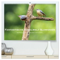 Fantastische Vogelwelt Slowenien (hochwertiger Premium Wandkalender 2026 DIN A2 quer), Kunstdruck in Hochglanz