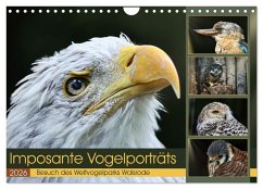 Cover Imposante Vogelporträts (Wandkalender 2026 DIN A4 quer), CALVENDO Monatskalender