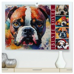 Cover Bunte Boxer (hochwertiger Premium Wandkalender 2026 DIN A2 quer), Kunstdruck in Hochglanz