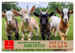 Ziegen - Bocksprung durch das Jahr (Wandkalender 2026 DIN A4 quer), CALVENDO Monatskalender