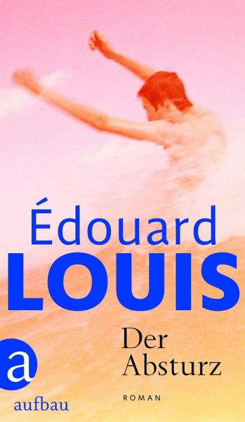 Der Absturz (eBook, ePUB)