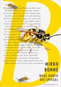 Cover Wege durch die Spiegel