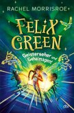 Geisterseher und Geheimagent / Felix Green Bd.1 (eBook, ePUB)