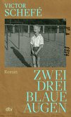 Zwei, drei blaue Augen (eBook, ePUB)