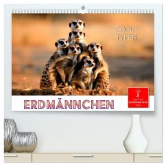 Cover Erdmännchen - coole Typen (hochwertiger Premium Wandkalender 2026 DIN A2 quer), Kunstdruck in Hochglanz
