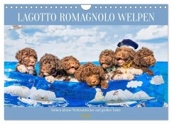 Lagotto Romagnolo Welpen - Sieben kleine Weltentdecker auf großer Fahrt (Wandkalender 2026 DIN A4 quer), CALVENDO Monatskalender Lagotto Romagnolo Welpen - Sieben kleine Weltentdecker auf großer Fahrt (Wandkalender 2026 DIN A4 quer), CALVENDO Monatskalender