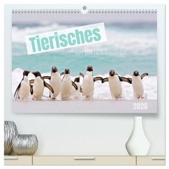 Tierisches von den Falklandinseln (hochwertiger Premium Wandkalender 2026 DIN A2 quer), Kunstdruck in Hochglanz