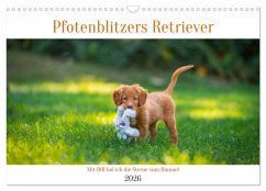Pfotenblitzers Retriever Mit DIR hol ich die Sterne vom Himmel (Wandkalender 2026 DIN A3 quer), CALVENDO Monatskalender Pfotenblitzers Retriever Mit DIR hol ich die Sterne vom Himmel (Wandkalender 2026 DIN A3 quer), CALVENDO Monatskalender