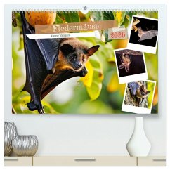 Fledermäuse - kleine Vampire (hochwertiger Premium Wandkalender 2026 DIN A2 quer), Kunstdruck in Hochglanz