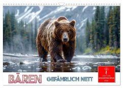 Bären - gefährlich nett (Wandkalender 2026 DIN A3 quer), CALVENDO Monatskalender