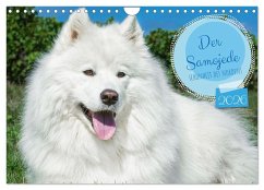 Cover Der Samojede - Schönheit des Nordens (Wandkalender 2026 DIN A4 quer), CALVENDO Monatskalender