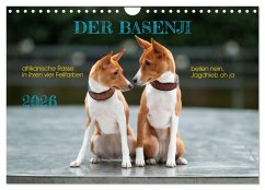 Cover Der Basenji (Wandkalender 2026 DIN A4 quer), CALVENDO Monatskalender