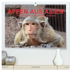 Cover AFFEN AUS ASIEN Indonesien, Thailand, Indien (hochwertiger Premium Wandkalender 2026 DIN A2 quer), Kunstdruck in Hochglanz