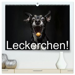 Leckerchen! (hochwertiger Premium Wandkalender 2026 DIN A2 quer), Kunstdruck in Hochglanz