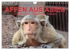 AFFEN AUS ASIEN Indonesien, Thailand, Indien (Wandkalender 2026 DIN A4 quer), CALVENDO Monatskalender