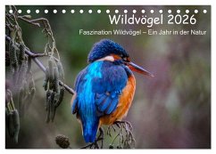 Cover Wildvögel 2026 (Tischkalender 2026 DIN A5 quer), CALVENDO Monatskalender