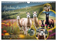 Cover Alpakas, die sanften Andenbewohner (Wandkalender 2026 DIN A4 quer), CALVENDO Monatskalender
