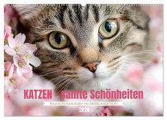 Cover Katzen - sanfte Schönheiten (Wandkalender 2026 DIN A2 quer), CALVENDO Monatskalender