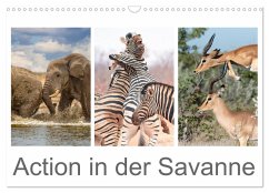 Action in der Savanne (Wandkalender 2026 DIN A3 quer), CALVENDO Monatskalender Action in der Savanne (Wandkalender 2026 DIN A3 quer), CALVENDO Monatskalender
