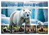 Große und kleine Bären (Wandkalender... - Bild 1