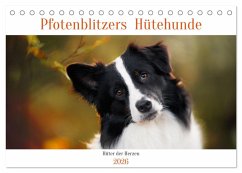 Pfotenblitzers Hütehunde - Hüter der Herzen (Tischkalender 2026 DIN A5 quer), CALVENDO Monatskalender Pfotenblitzers Hütehunde - Hüter der Herzen (Tischkalender 2026 DIN A5 quer), CALVENDO Monatskalender