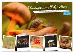 Cover Wundersame Pilzwelten (Wandkalender 2026 DIN A2 quer), CALVENDO Monatskalender