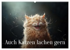 Auch Katzen lachen gern (Wandkalender 2026 DIN A2 quer), CALVENDO Monatskalender Auch Katzen lachen gern (Wandkalender 2026 DIN A2 quer), CALVENDO Monatskalender