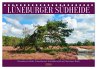 Lüneburger Südheide (Tischkalender... - Bild 1