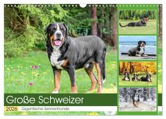 Große Schweizer - Gigantische Sennenhunde (Wandkalender 2026 DIN A3 quer), CALVENDO Monatskalender
