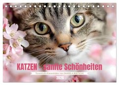 Cover Katzen - sanfte Schönheiten (Tischkalender 2026 DIN A5 quer), CALVENDO Monatskalender