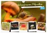 Wundersame Pilzwelten (Wandkalender... - Bild 1