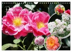 Rosensommer (Wandkalender 2026 DIN A4 quer), CALVENDO Monatskalender
