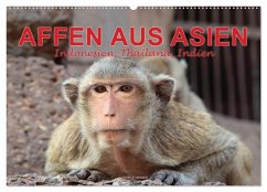 AFFEN AUS ASIEN Indonesien, Thailand, Indien (Wandkalender 2026 DIN A2 quer), CALVENDO Monatskalender
