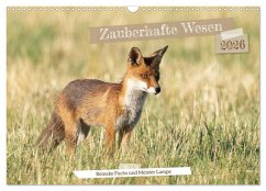 Zauberhafte Wesen - Reineke Fuchs und Meister Lampe (Wandkalender 2026 DIN A3 quer), CALVENDO Monatskalender